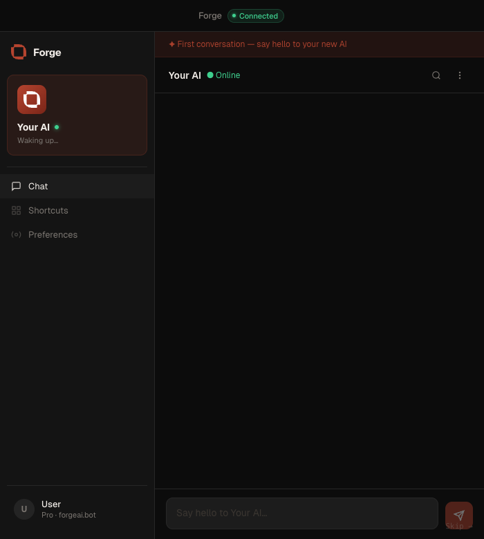 Forge chat screen